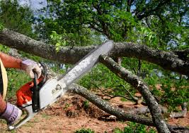 Maine, WI Tree Removal and Landscaping Services Company